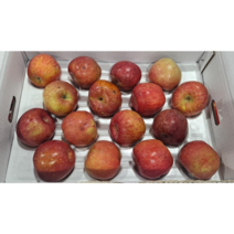 주스용 사과 1.5kg 10kg, 주스용사과10kg