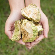 국산 수세미(사과락) 200g 말린수세미 차 한방재료 한약재, 1300_국산 수세미(사과락) 200g