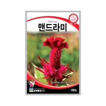 모칸도 (무배)세계 맨드라미 꽃씨 180립, 1개