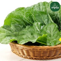 [가영이네] 유기농 주스용 케일 2kg, 단품