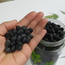 2022년 국내산 서리태 호라산밀 볶은 서리태 뻥튀기 검은콩 쥐눈이콩, 국내산 서리태 1kg(지퍼팩), 1개