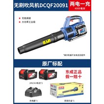 낙엽송풍기 차량 먼지 캠핑 초강력 청소기 드라이어 충전식 자동차 Dongcheng 리튬, 03 DCQF20091 [듀얼 파워