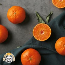 (롯데백화점)블루제주 서귀포 레드향 선물용 2.5kg (14-18수/실중량)