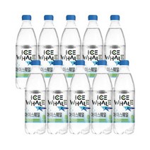 아이스웨일500mlX10펫(샤인머스캣, 광동아이스웨일500mlX10펫(샤인, 500ml