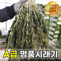 [숙이네농장] 2023 강원도 양구펀치볼시래기 산지직송 무청 건시래기 1kg 2kg 3kg 업소용