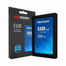 하이크비젼 E100 SSD (256GB), 0GB, 선택하세요