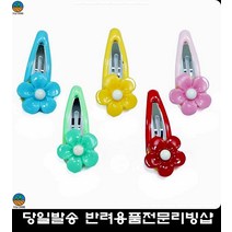 반려동물용품점 미니푸들 명품말티즈 모델견 애완견미용 멍멍이스타일변화 애견패션