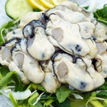 바다의품격 통영 산지직송 최상급 깐 생굴 냉동굴 1kg, 1개
