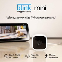 Blink Home Security 스마트 보안 카메라 1080 HD 야경 모션 감지 5x5x3cm 1개, 기본