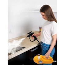 고압 스팀 스팀청소기 해빙기 살균 소독기 수증기, 2600W 가정용 모델 D, 1개