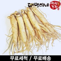 인삼수삼 오쿠1회분 원삼소 세척 5뿌리내외 250g 대명이네인삼