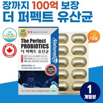 임신부 수유부 속 더부륵 소화 안될때 100억 생유산균 락토바실러스 가세리 모유 유산균 50대 60대 중년 여성 잦은 방귀 트림 장운동 배변 500억 비피더스 포스트바이오틱스