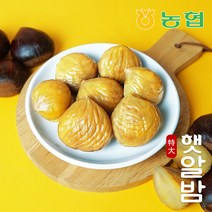 [농협] 햇밤 순창 알밤 특대 2kg (제수용), 단품