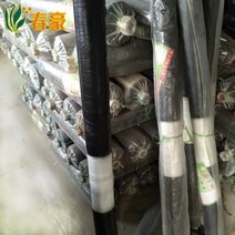 방풍비닐 농업용 비닐호스 농업용 비닐하우스파이프자재 스마트팜창업 하우스비닐 비닐하우스자재 농업용 비닐120cm 농업용 비닐 PE필름 멀칭비닐 종류 농업용 투명 비닐, 쌍백 1미터 너비