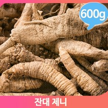 달달한맛 잔대 제니 600g 한방차 약초 딱주 중국산