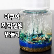 아쿠아 화학 정원 만들기 (5인) 초등실험 과학키트