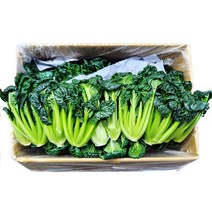 야채24닷컴 비타민채소 비타민 다채 1.8kg-2kg, 1개