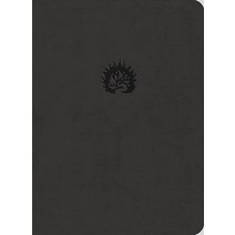 Reformation Study Bible (2015) ESV Leather-Like Charcoal
