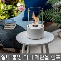 실내 불멍 캠핑 화로대 미니 에탄올 난로, 1개, 에탄올 1리터