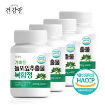 건강앤 HACCP 식약처 인증 돌외잎추출물 녹차추출물 발효율피 레몬밤 와일드망고 함유 2개월분, 8개월 240정