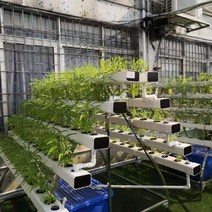 수경재배기 홈파밍 가정용 식물재배기 흙이없는 재배 야채 딸기 - 수경법 장비 발코니 야채 재배자 수경법, 맞춤형 촬영 조명 장착 가능, 중간