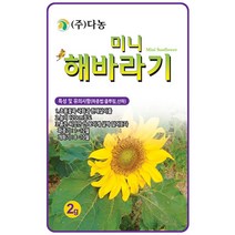 만수국 80립 - 야생화 씨앗 꽃씨 씨 꽃씨앗 만수국씨앗 만수국씨 야생화씨 야생화씨앗 꽃 홍황초 프렌치매리골드, 20_다농_미니 해바라기(2g)