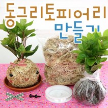 동그리토피어리만들기/토피어리재료/만들기/DIY, A 동그리(식물없음)