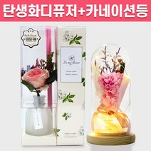 탄생화 디퓨저 선물 세트 6월 탄생화 장미 핑크 + 카네이션 무드등 어버이날 부모님 엄마 장모님 생신 선생님 생일 프리저브드 집들이 선물 실내 디퓨저 실내방향제 디퓨져, 레몬그라스, 300ml
