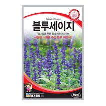 모칸도 세계종묘 꽃씨앗 블루세이지 100립