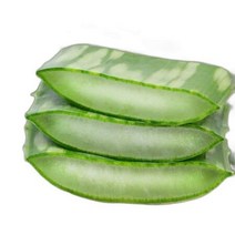권도영알로에 유기농 생알로에 사포나리아 식용 1kg/3kg/5kg, 상세페이지 참조, 상세페이지 참조, 01_1kg