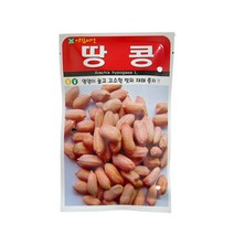 땅콩 씨앗 20g [22년포장] 재래종 땅콩 종자