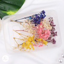 컬러 안개꽃 믹스 프리저브드 드라이플라워 세트 DIY재료 꽃 플라워 재료 R222