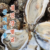 섬진강 벚굴 강굴 5kg