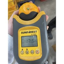 탐라인 신품종 고당도 설국향 수라향 신비향 아스미 아스키 가정용, 1box, 3kg