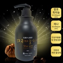 헤나프로천사 생생헤나 발효 흑마늘 인삼 추출물 및 한방성분 헤나샴푸 정경순 생생헤나샴푸 500ml, 헤나샴푸 500ml