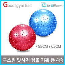 구스짐 마사지 짐볼 55cm 65cm, 블루