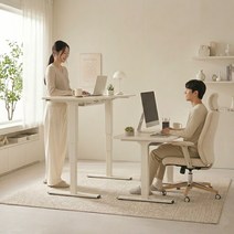 FlexiSpot 듀얼모터 모션데스크 E5 3단 높이조절책상 높이625~1275mm 최대하중100KG A/S 5년 컴퓨터책상