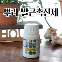 뿌리촉진제 발근촉진제 프랄린 100G 삼목 삽수 침지