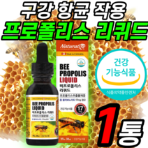 프로폴리스 리퀴드 기관지 목 입 구강 면역 면역력 높이는 개선 도움 청소년 수험생 보충제 푸로폴리스 영양제 약 X 푸로폴리스 무알콜 피로 피곤할 때 먹는 활력 회복 항산화제 사은품