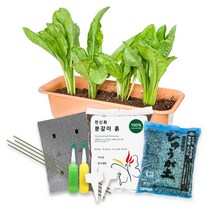 [모종가게]미니 텃밭 DIY 세트 베란다 가드닝 쌈 채소 꽃 모종 여름 가을 상추 국화 초특가, 플라스틱 화분받침