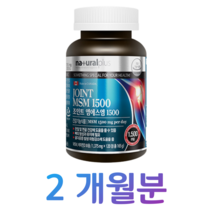 캐나다 조인트 엠에스엠 MSM 1500mg 하루 2알 골다공증 발생 위험 감소 도움 관절 연골 건강 도움 비타민D 상어 연골 분말 녹색 입 홍합 추출 분말 생선 콜라겐, 2개월치, 1375mg x 120정 (하루 2정)