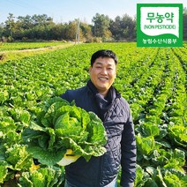 [시골마당] 무농약 해남 절임배추 20kg, 12월 20일 (화요일)