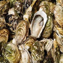 고흥 제철 굴 석화 각굴 10kg