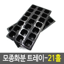 모종화분 트레이-21홀