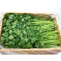 야채왕 이태리 파슬리 박스 ( 1.8kg ~ 2kg ) 향나물