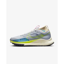 나이키 페가수스 트레일 4 GORE-TEX 여성 워터프루프 러닝화 DJ7929-002