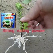 정원 원예 복합 비료 묘목 분재 이식 나무 abt 뿌리 호르몬 잎에 대한 5pcs