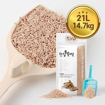 한삽뚝딱 고양이 두부모래 편백나무 4.9kg X3개 두부