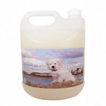 대형견 리트리버 산책 진드기 예방 샴푸4L 안전한성분