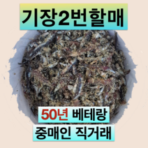 기장 생멸치 소금간 15kg 30kg - 통 멸치젓 부산 대변항 액젓 김장, 23년 1월 햇멸치(육젓상태) 30kg